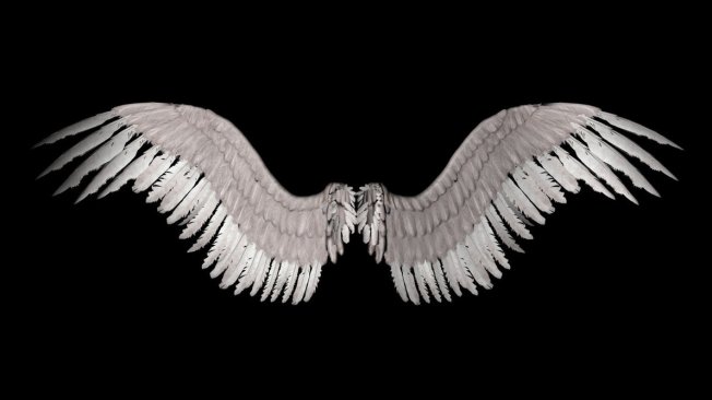 New Angel Wings by Shadavar -stock